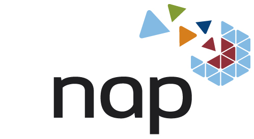 logo Groupe NAP